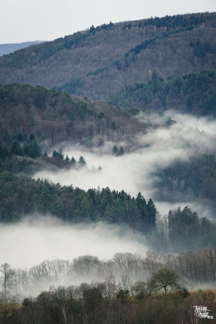 Vosges Weekend Weddings: A Photo Gallery of Recent Celebrations